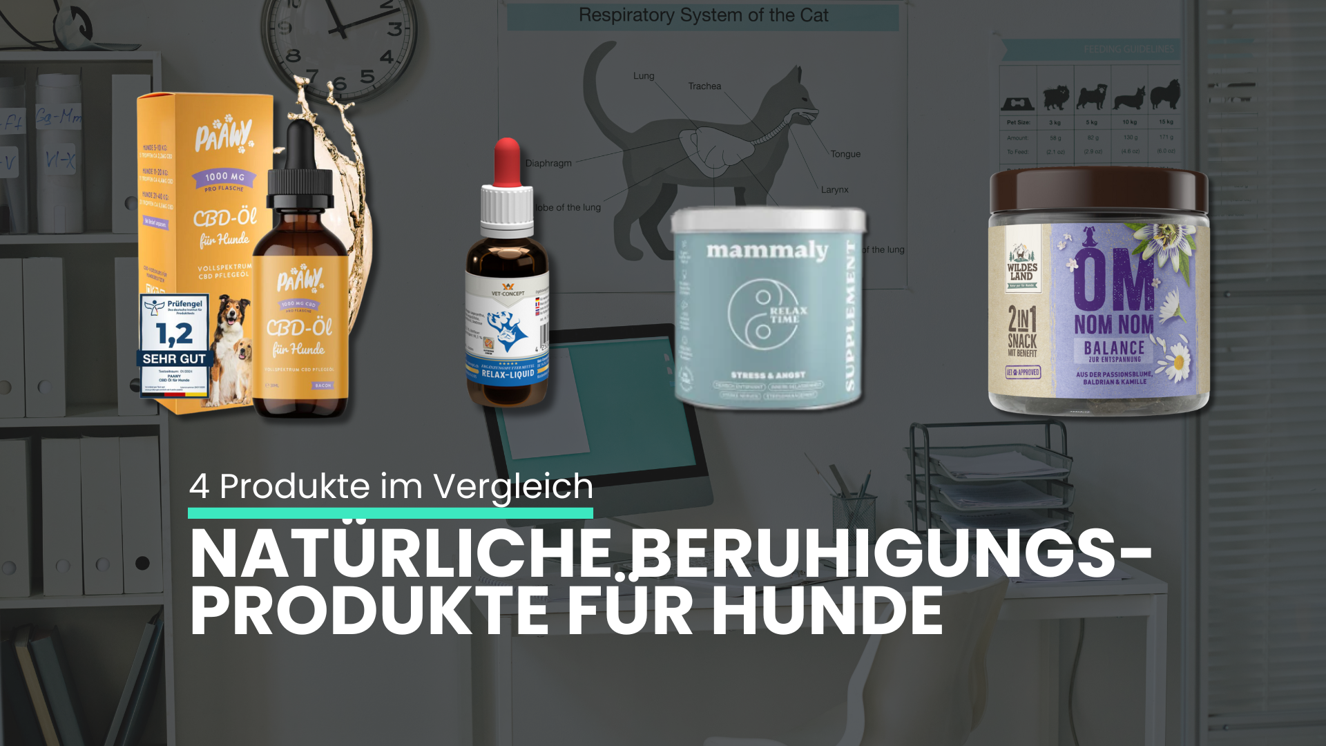 Natürliche Beruhigungsprodukte für Hunde im Vergleich – was ist sanft & hilft wirklich?